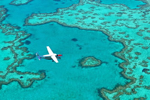 Reef And Island Scenic Flight From Airlie Beach - Accommodation Whitsundays 4