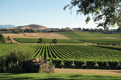 Small Group 6 Guests: Ultimate Yarra Valley Food And Wine - Mercedes Van - Accommodation Whitsundays 4