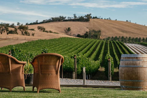 Yarra Valley 2-6 Guests With Lunch And Gin Tasting At Four Pillars - Accommodation Whitsundays 5