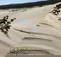 Port Stephens Bush Beach and Sand Dune 4WD Tag-Along Tour - Accommodation Whitsundays