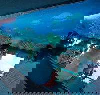 Great Barrier Reef Day Cruise to Reefworld - Accommodation Whitsundays