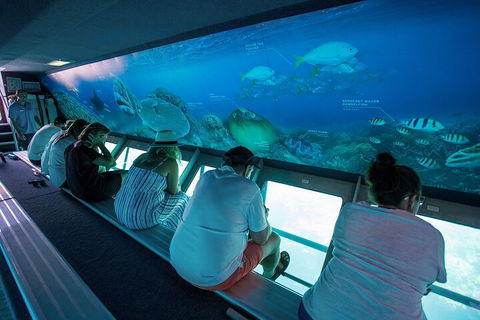 Great Barrier Reef Day Cruise To Reefworld - Accommodation Whitsundays 0