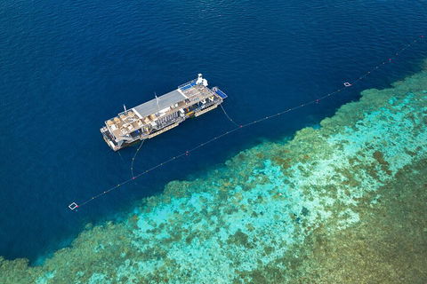 Great Barrier Reef Day Cruise To Reefworld - Accommodation Whitsundays 2