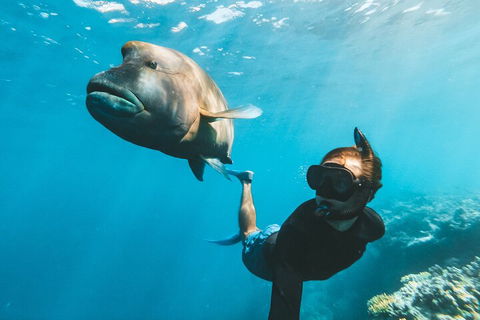 Great Barrier Reef Day Cruise To Reefworld - Accommodation Whitsundays 3