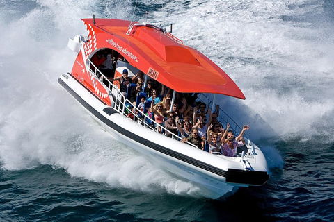 Adventure Rottnest Tour With Ferry & Adventure Cruise From Perth Or Fremantle - Accommodation Whitsundays 2