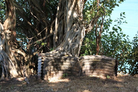 Darwin Walking Tour: World War II Reflections - Accommodation Whitsundays 3