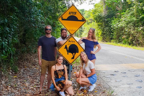 Cape Tribulation, Daintree Rainforest And Wildlife Tour - Accommodation Whitsundays 0