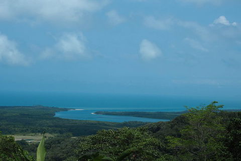 Cape Tribulation, Daintree Rainforest And Wildlife Tour - Accommodation Whitsundays 1