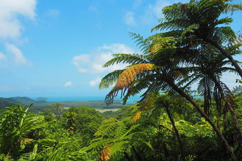 Cape Tribulation, Daintree Rainforest And Wildlife Tour - Accommodation Whitsundays 3
