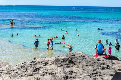 Rottnest Island Roundtrip Fast Ferry From Hillarys Boat Harbour - Accommodation Whitsundays 1