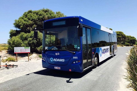 Rottnest Bayseeker Bus Tour From Hillarys Boat Harbour - Accommodation Whitsundays 0