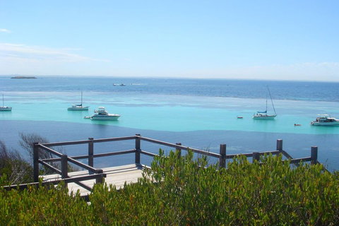 Rottnest Bayseeker Bus Tour From Hillarys Boat Harbour - Accommodation Whitsundays 3