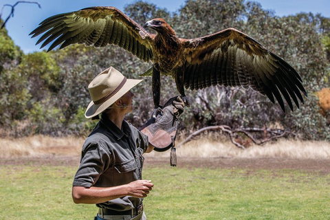 One Day Kangaroo Island Sip & See Tour With Return Ferry Transfers From Adelaide - Accommodation Whitsundays 0