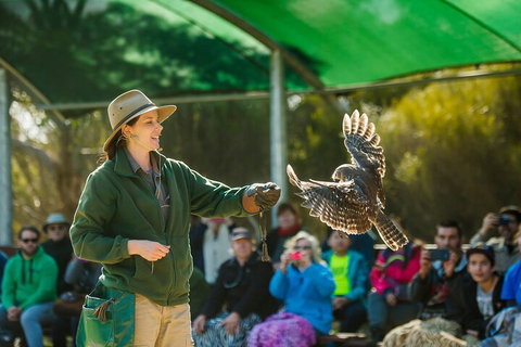 One Day Kangaroo Island Sip & See Tour With Return Ferry Transfers From Adelaide - Accommodation Whitsundays 3