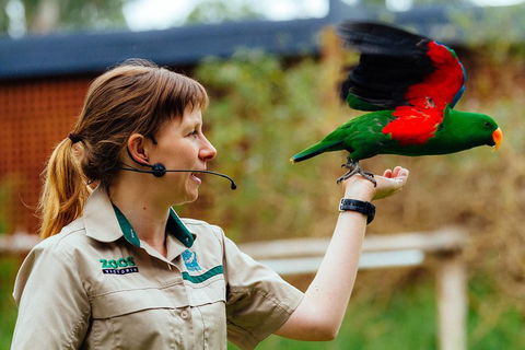 VIP Sanctuary Tour At Healesville Sanctuary Ticket - Accommodation Whitsundays 0