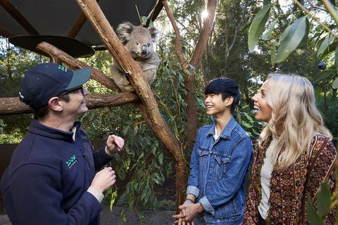 VIP Sanctuary Tour At Healesville Sanctuary Ticket - Accommodation Whitsundays 1