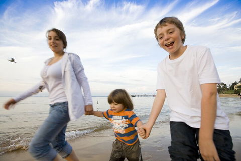 Phillip Island Penguin And Koala Highlights Day-Trip From Melbourne - Accommodation Whitsundays 0