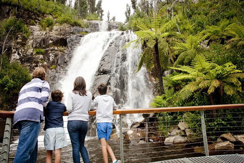 Lake Mountain Snow Trip Including Yarra Valley Chocolaterie From Melbourne - Accommodation Whitsundays 0
