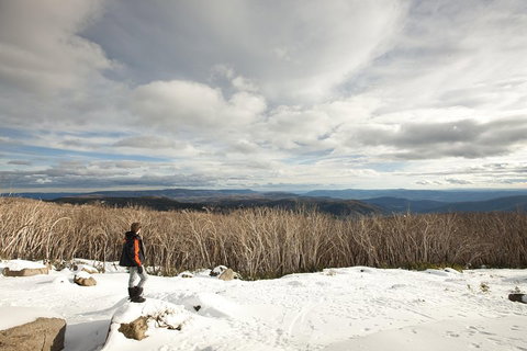Lake Mountain Snow Trip Including Yarra Valley Chocolaterie From Melbourne - Accommodation Whitsundays 5