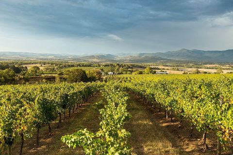 Yarra Valley Local Produce And Wine Tasting Tour - Accommodation Whitsundays 3