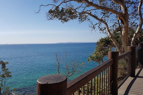 Noosa And Sunshine Coast Hinterland Day Trip From Brisbane - Accommodation Whitsundays 0