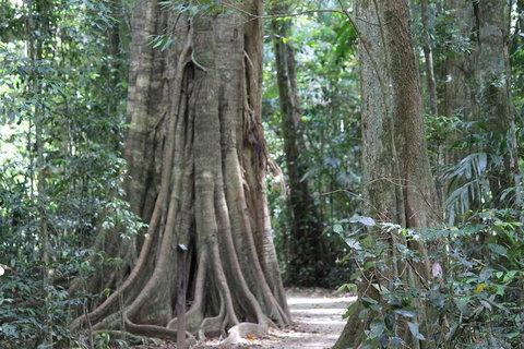 Noosa And Sunshine Coast Hinterland Day Trip From Brisbane - Accommodation Whitsundays 3