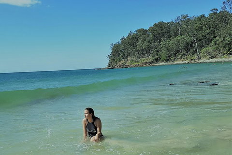 Noosa And Sunshine Coast Hinterland Day Trip From Brisbane - Accommodation Whitsundays 4