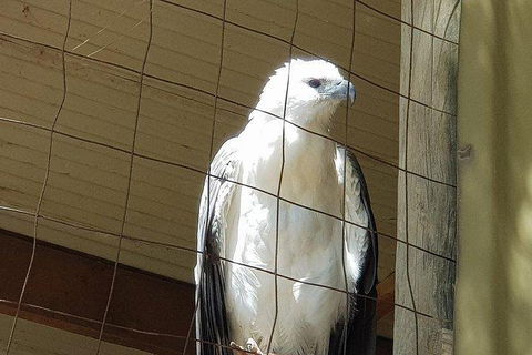Phillip Island Penguin And Wildlife Tour - Accommodation Whitsundays 5