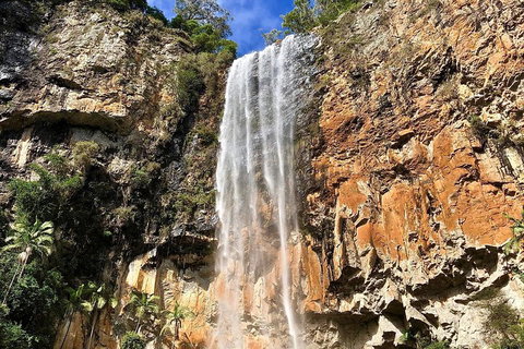 Springbrook Full Day Tour - Accommodation Whitsundays 2