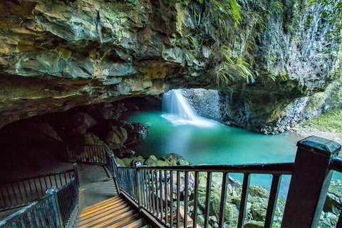 Springbrook Full Day Tour - Accommodation Whitsundays 4