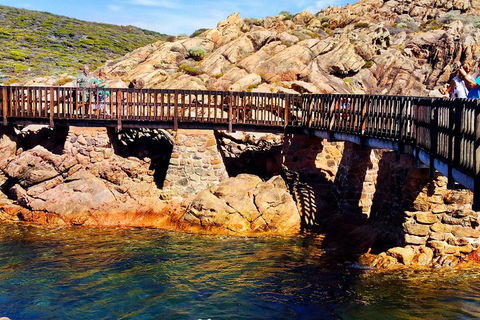 Margaret River (Private) Day Tour - Accommodation Whitsundays 3