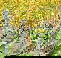 Margaret River Indulge and Discover Day Tour - Accommodation Whitsundays