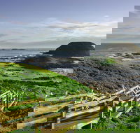 Full-Day Private Australian Wildlife Tour of Phillip Island - Accommodation Whitsundays