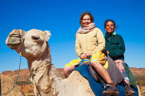 Alice Springs Camel Tour - Accommodation Whitsundays 3