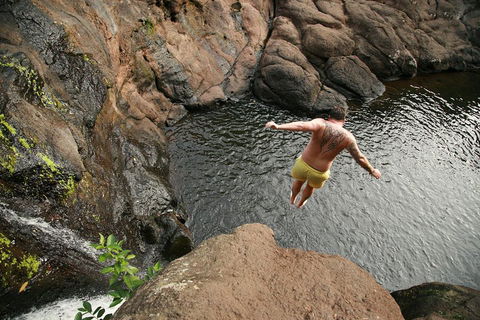 Hinterland Magic & Glow-worm Experience - Accommodation Whitsundays 3