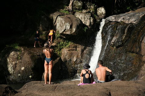 Hinterland Magic & Glow-worm Experience - Accommodation Whitsundays 5