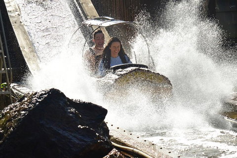 Theme Park Transfer From Brisbane - Accommodation Whitsundays 1