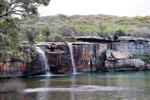 Royal National Park Tour - Accommodation Whitsundays 1