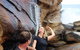 Royal National Park Tour - thumb 4