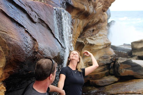Royal National Park Tour - Accommodation Whitsundays 4
