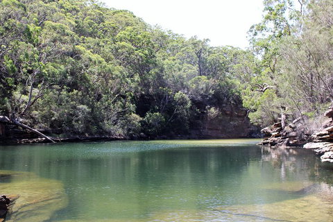 Royal National Park Tour - Accommodation Whitsundays 5