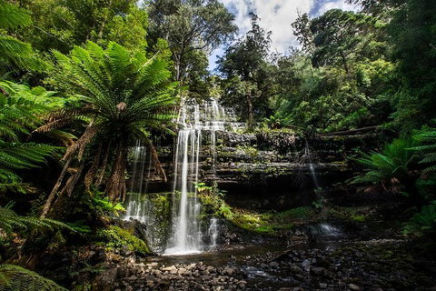 3-Day Tour To The Falls, Mountains, Lake & More Of West Coast Tasmania - Accommodation Whitsundays 4