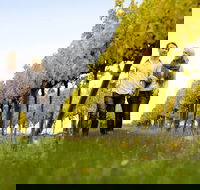 2-Day Private Daylesford  Macedon Ranges Gourmet Food Trail Tour from Melbourne - Accommodation Whitsundays