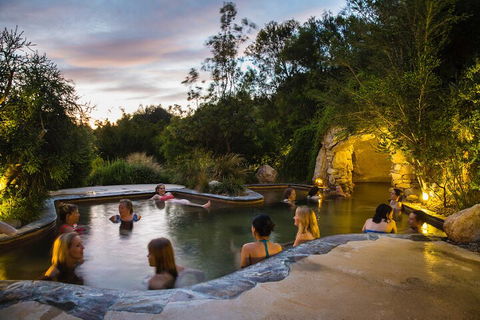 Peninsula Hot Springs & Wine Tasting - Day Tour - Accommodation Whitsundays 3
