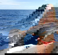 1/2 Day 5 Hour Offshore Fishing Charter - Accommodation Whitsundays