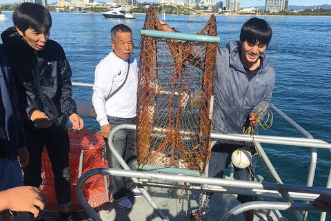 Crab Trip From Gold Coast - Accommodation Whitsundays 1