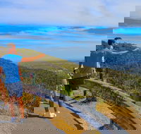 Private Tour Mornington Peninsula Family Maze and Fun - Accommodation Whitsundays