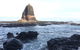 [Private Tour] Mornington Peninsula Family, Maze And Fun! - thumb 5