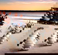 Private Tour Penguin Parade Phillip Island Tour. - Accommodation Whitsundays