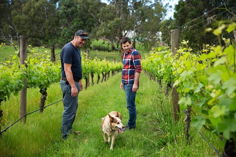 LGBT+ Friendly Full Day Yarra Valley & Dandenong Ranges Private Tour - Accommodation Whitsundays 4